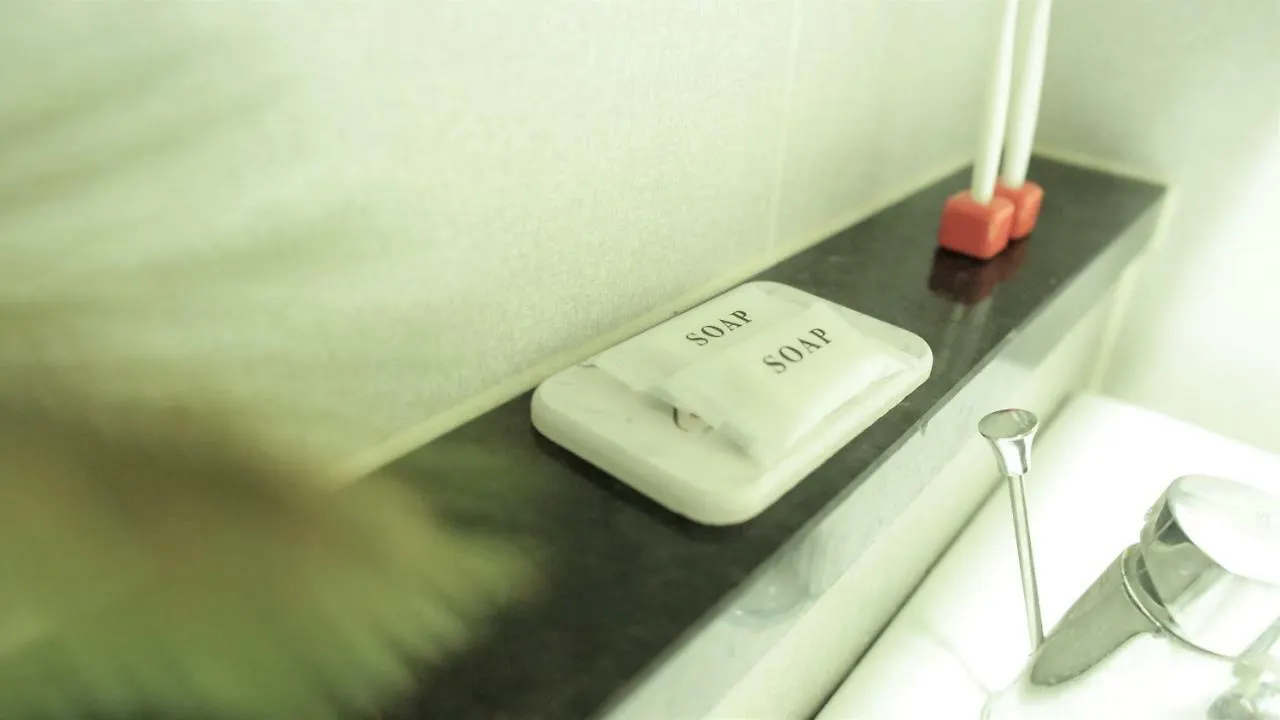 Location In Myeong Dong Pr Studio Apartment Seoul South Korea